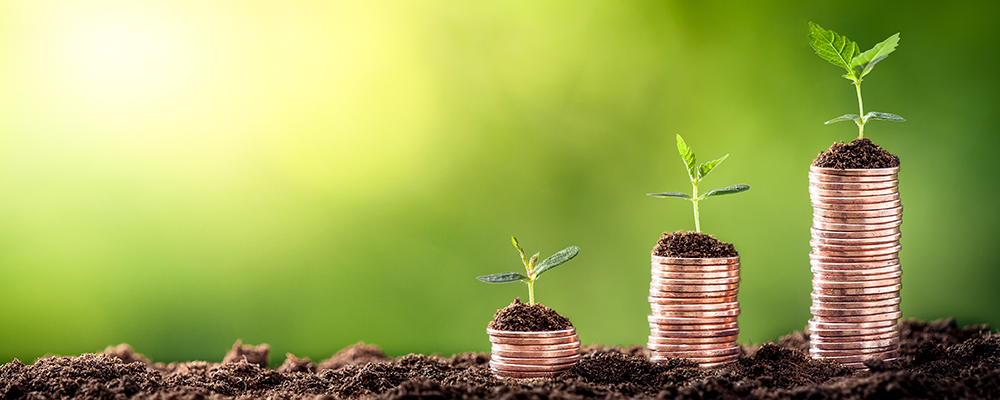 AdobeStock_208531121-Ed